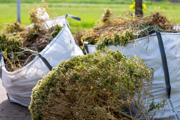 Best Commercial Cleanout Services  in Shillington, PA